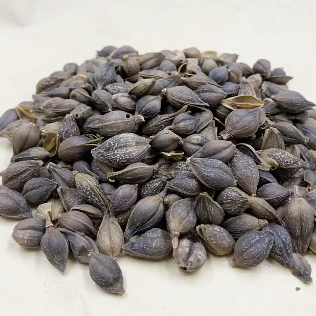 连翘中药材原材料 新货上市 青翘 黄翘 老翘新货农产品批发 连翘 500g*1袋 【新货】