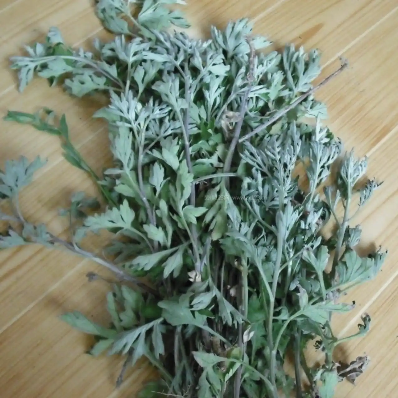 艾叶中药材新鲜艾叶草干货艾草叶艾叶干泡脚洗澡陈艾叶蕲艾